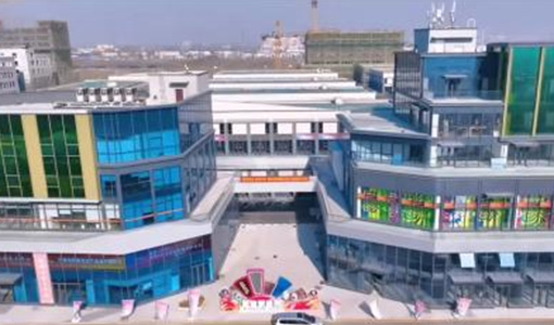 Pingdu Xuanli False Eyelash Factory